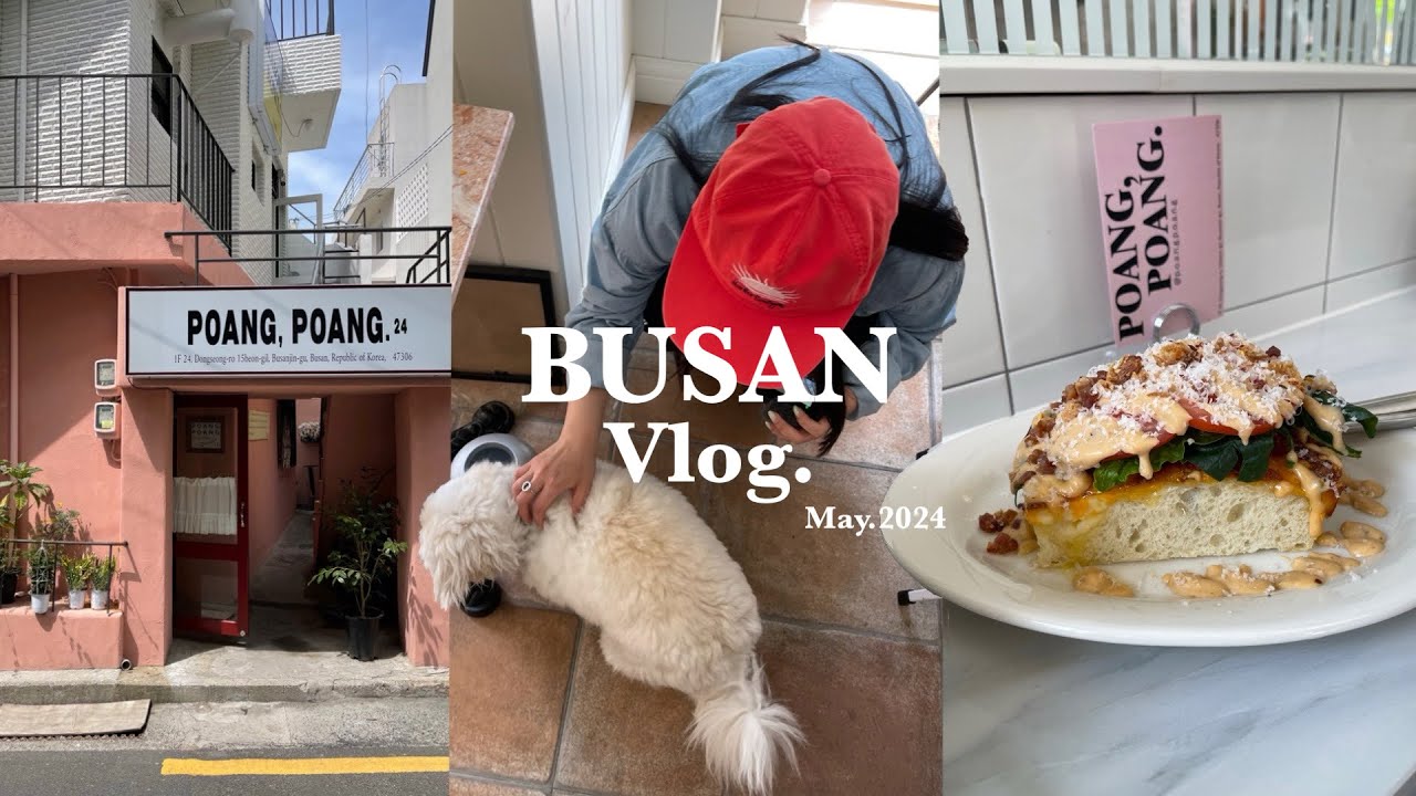 ［韓国vlog］釜山 田浦カフェ通り・最新おすすめカフェ紹介/韓国人が通う直火で炙るローカルチュックミ屋さん/かぼちゃスコーンレシピ