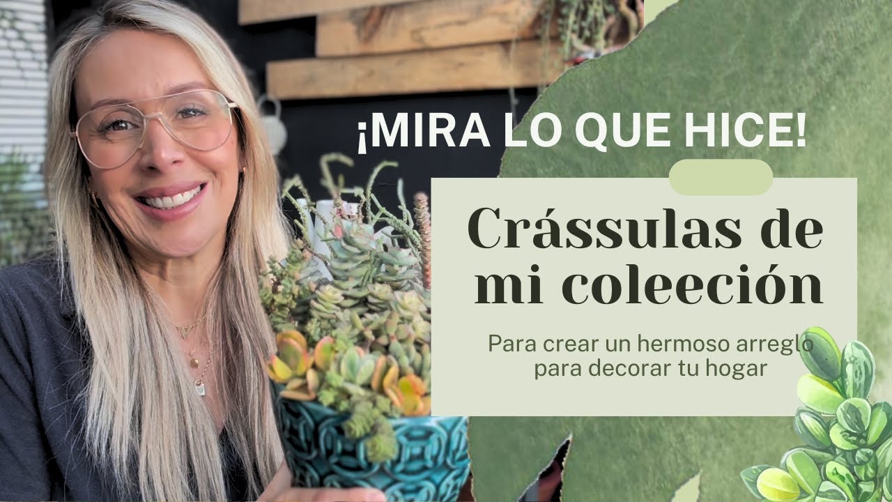 Así uso mis crassulas para Crear un hermoso arreglo 🌿🔥