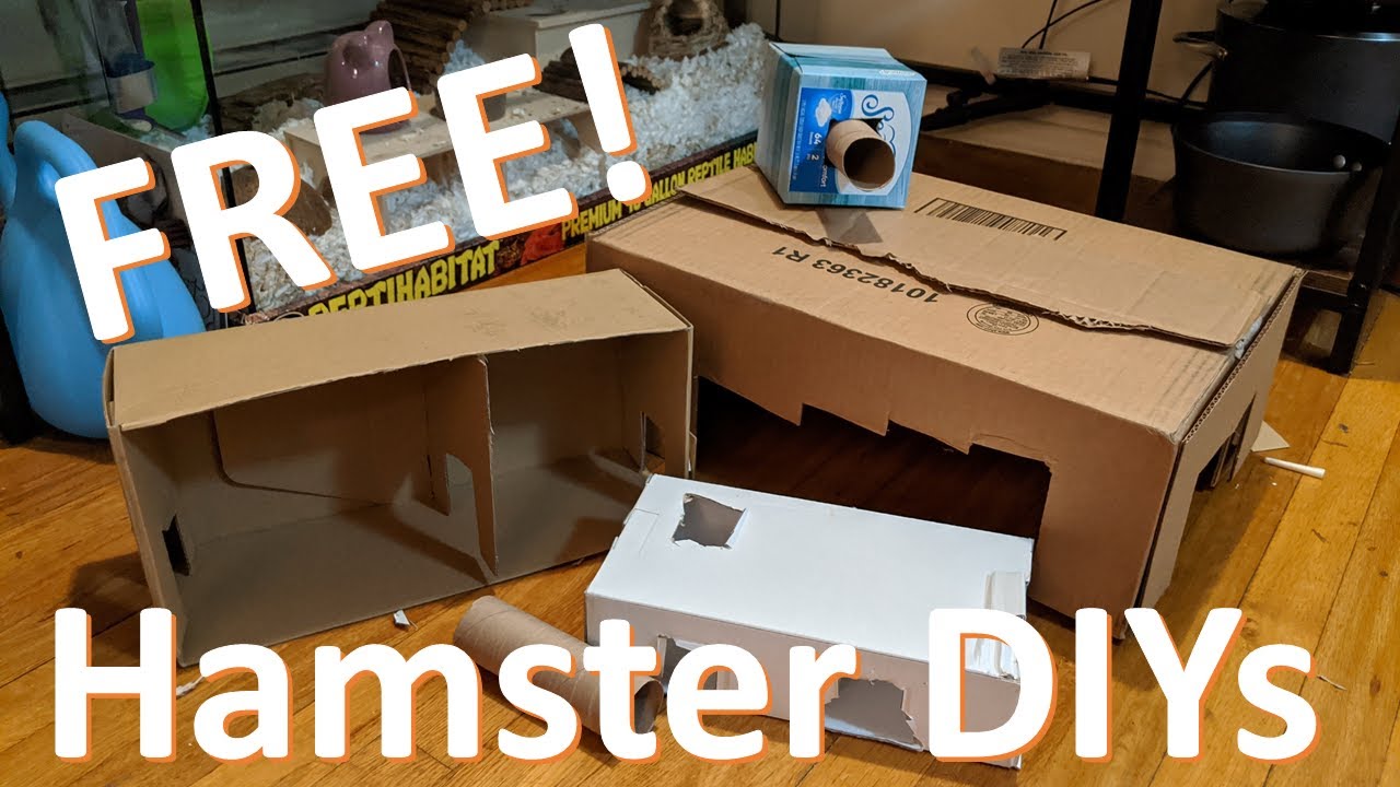 Free DIY Cardboard Hamster Accessories