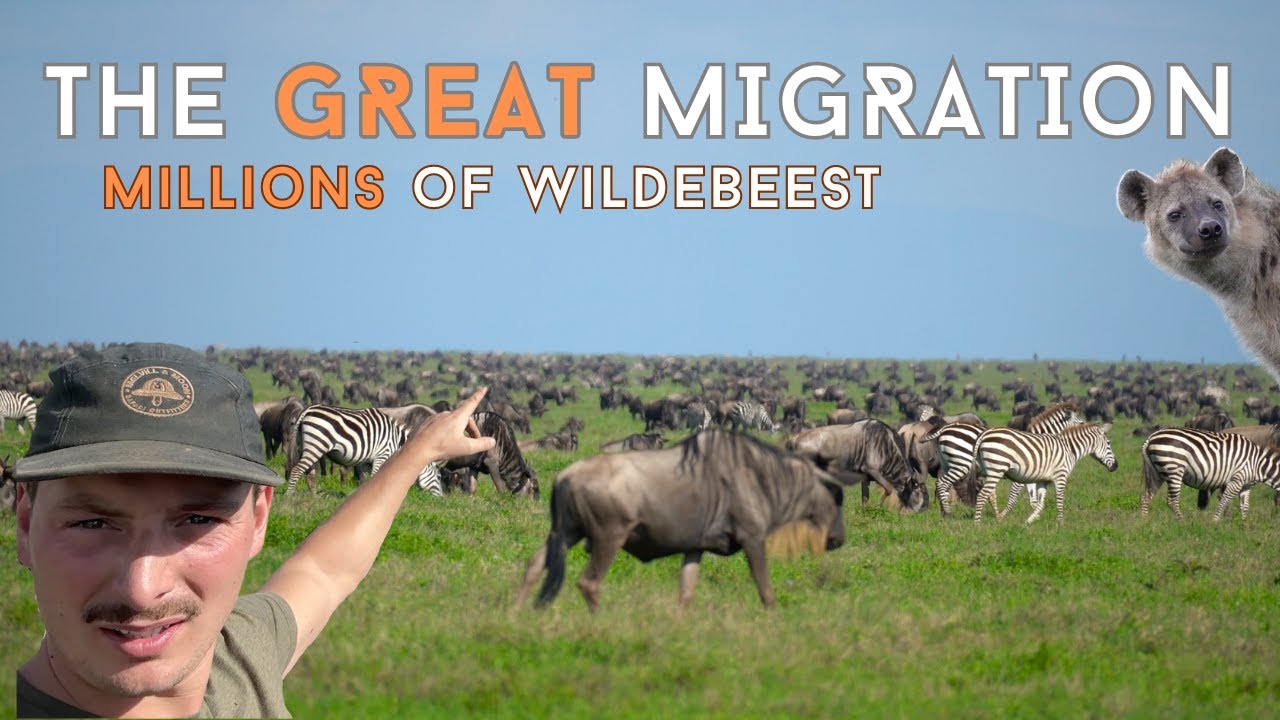 Ultimate African Adventure Overlanding in Land Rover Defender | Serengeti Great Migration | Ep.40