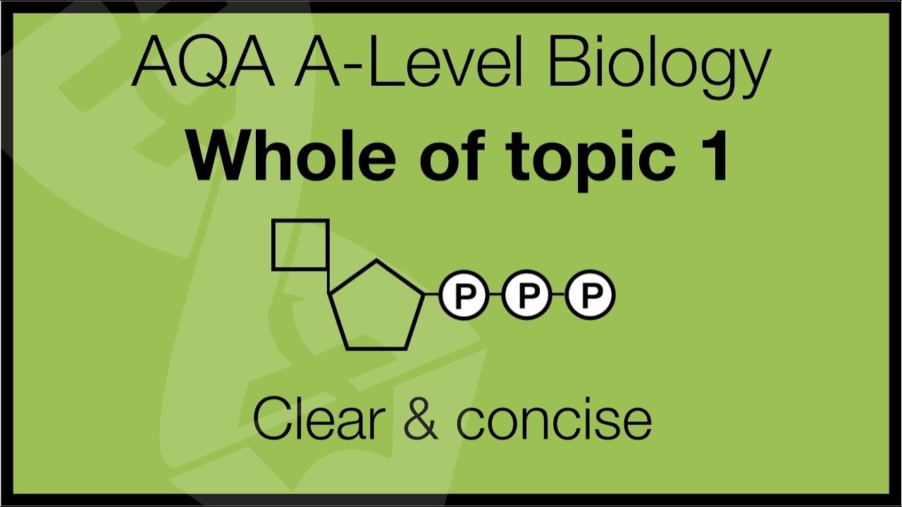 AQA A-Level Biology | Biological Molecules