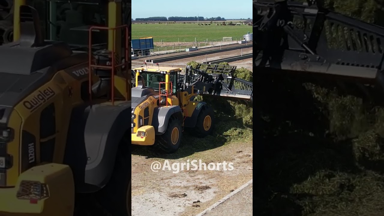 Big Loader Pushing Grass