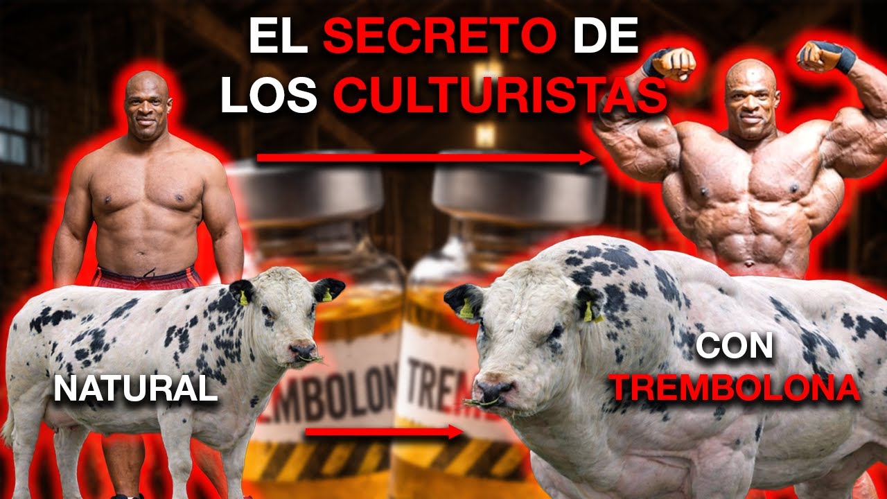 TODO SOBRE LA TREMB0LONA | EL COMPUESTO BRUTAL QUE MUTA A LAS VACAS (Y A LOS CULTURISTAS)