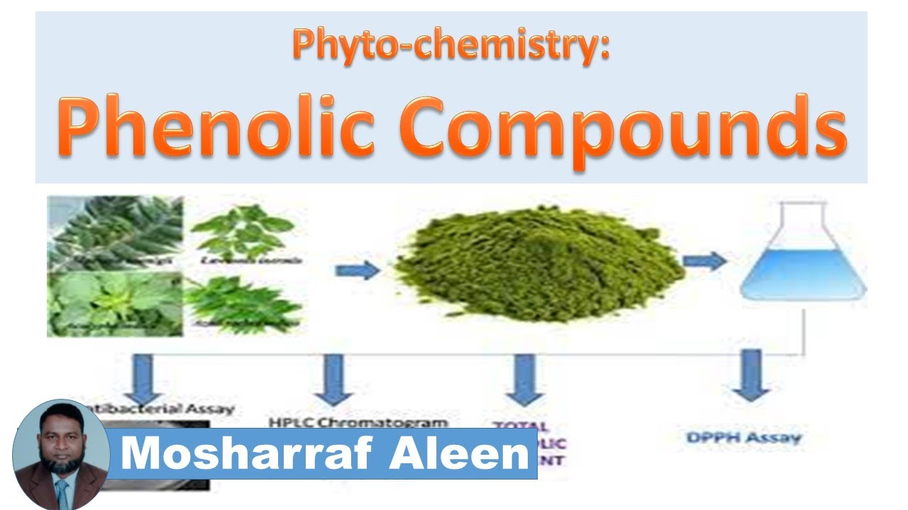 Phenolic Compounds/ Phyto-chemistry/ Biochemistry