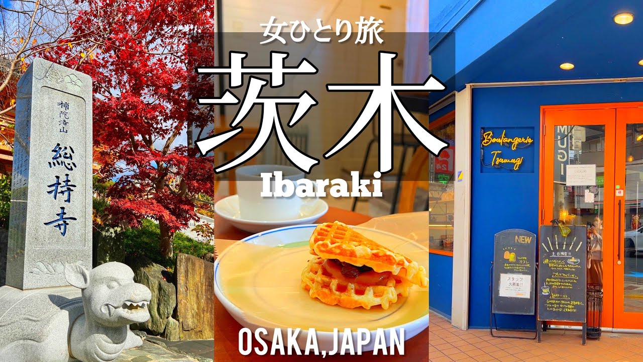 SUB【女一人旅Vlog】茨木に行ったら立ち寄りたい！知らないと損する！カフェ＆スポットを巡るvlog/グルメ/旅行動画/japan travel