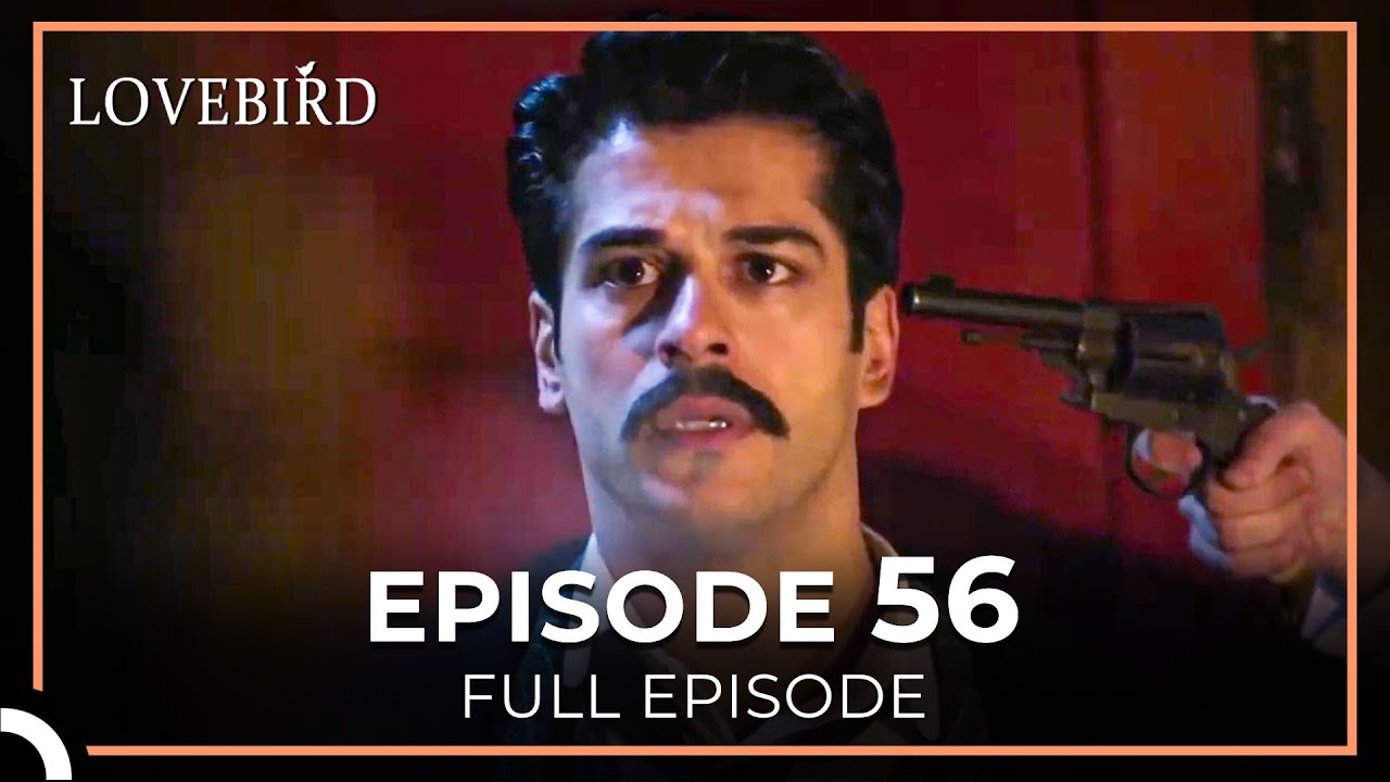 Lovebird Episode 56