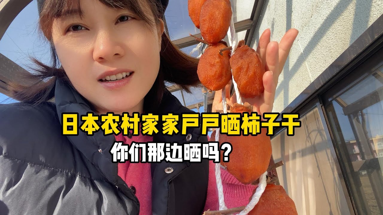 日本農村家家戶戶曬柿子幹，香甜爽口太美味，妳們那邊也曬嗎？