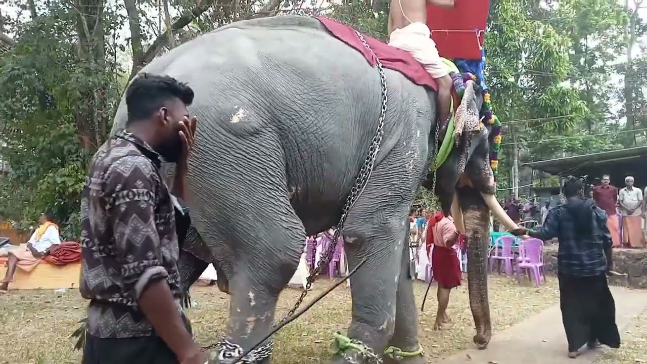 മുത്തലപുരം മുദ്ദേവർക്ഷത്രം