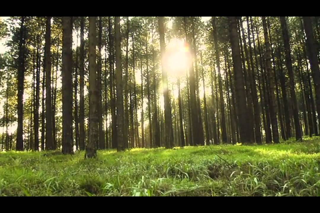 Rina Hugo - die onse vader