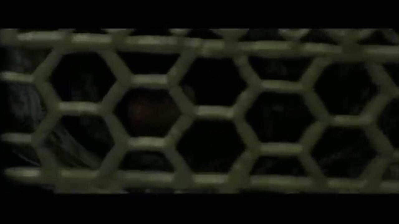 The Thief and the Phantom Part 3: Christine saves Erik/Tom Riddle's Plan