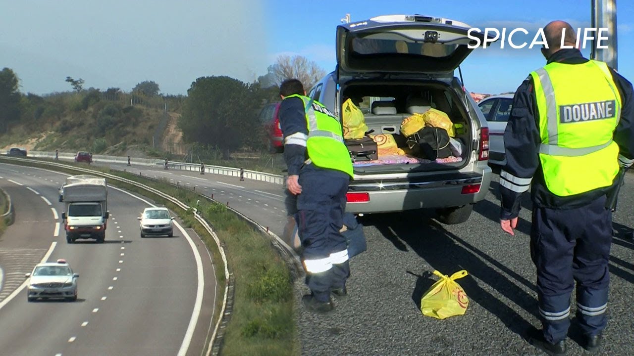 Fuite, trafic, collision : le vrai visage de nos autoroutes