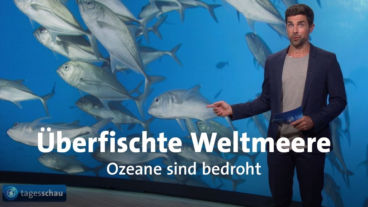 #gutzuwissen: Leere Meere - Wie bedroht sind Fischbest&auml;nde?