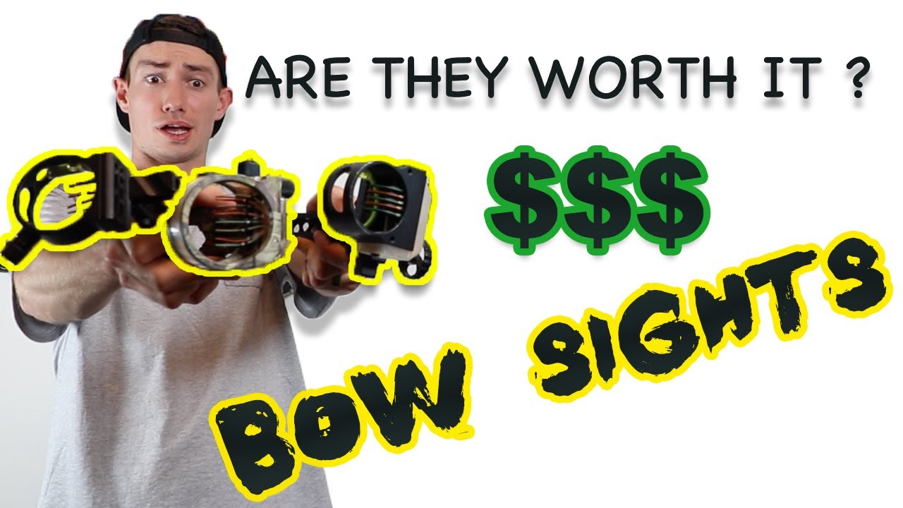 CHEAP vs. EXPENSIVE BOW SIGHTS