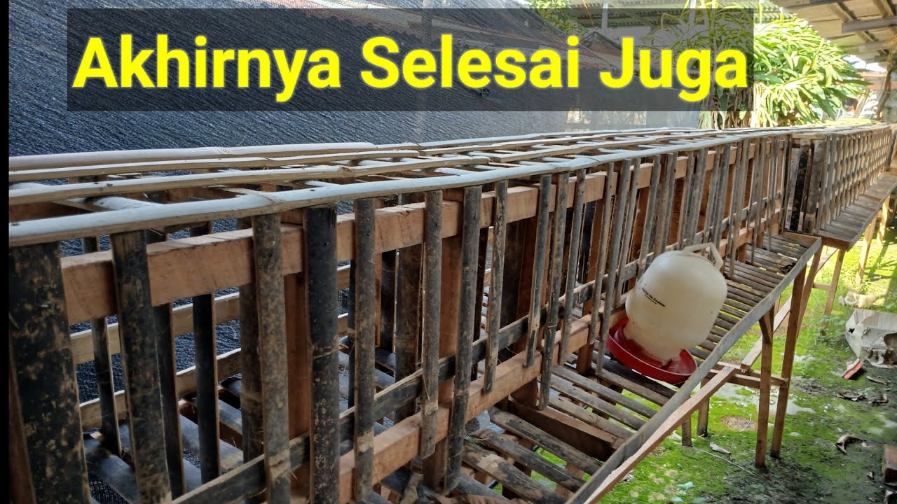 Alhamdulillah...Pembuatan Kandang Sudah Selesai 