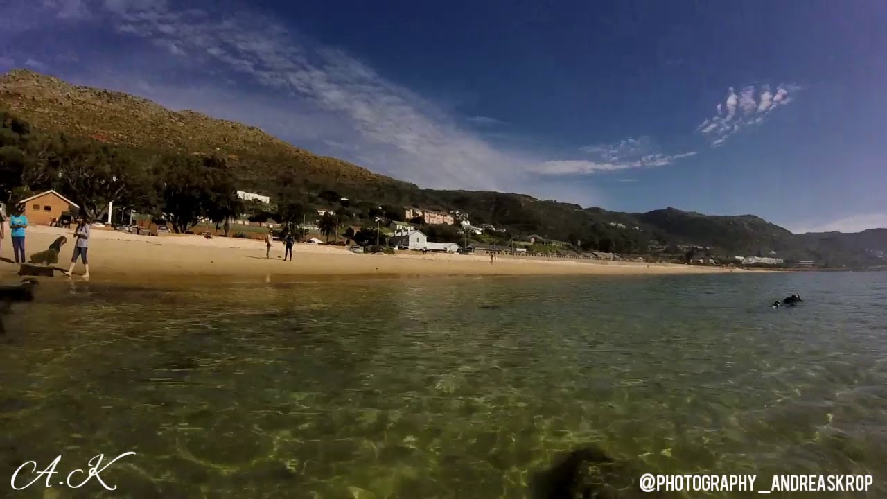 Part 1, Dive at Long Beach, Simon's Town, South Africa