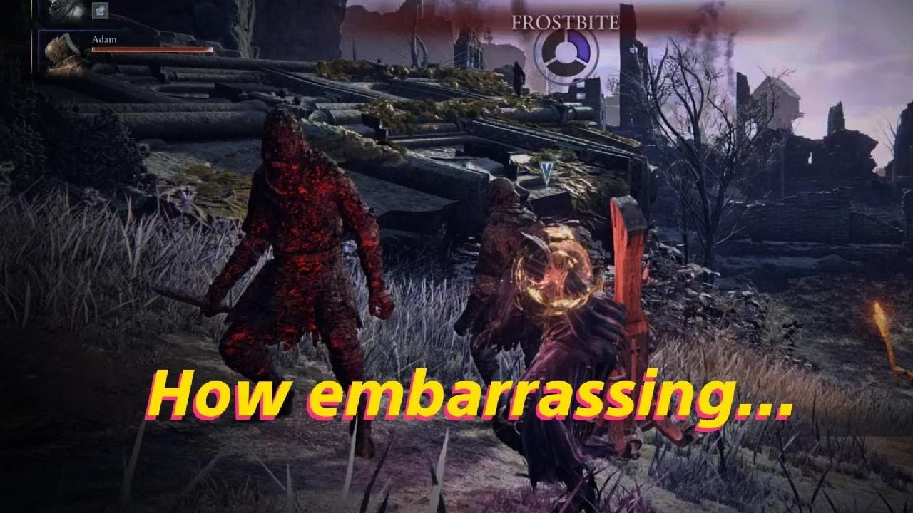 Nightreign DoN: Like a Professional