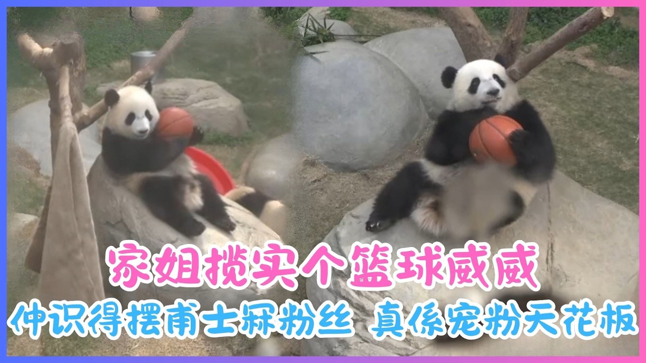 3月14日💖家姐揽实个篮球威威～仲识得摆甫士冧粉丝，真係宠粉天花板💖