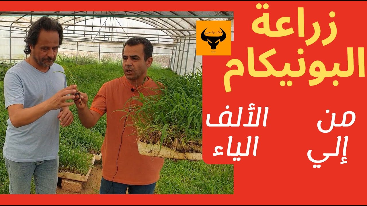 زراعة البونيكام, من الالف الي الياء ,زيارة حقلية,