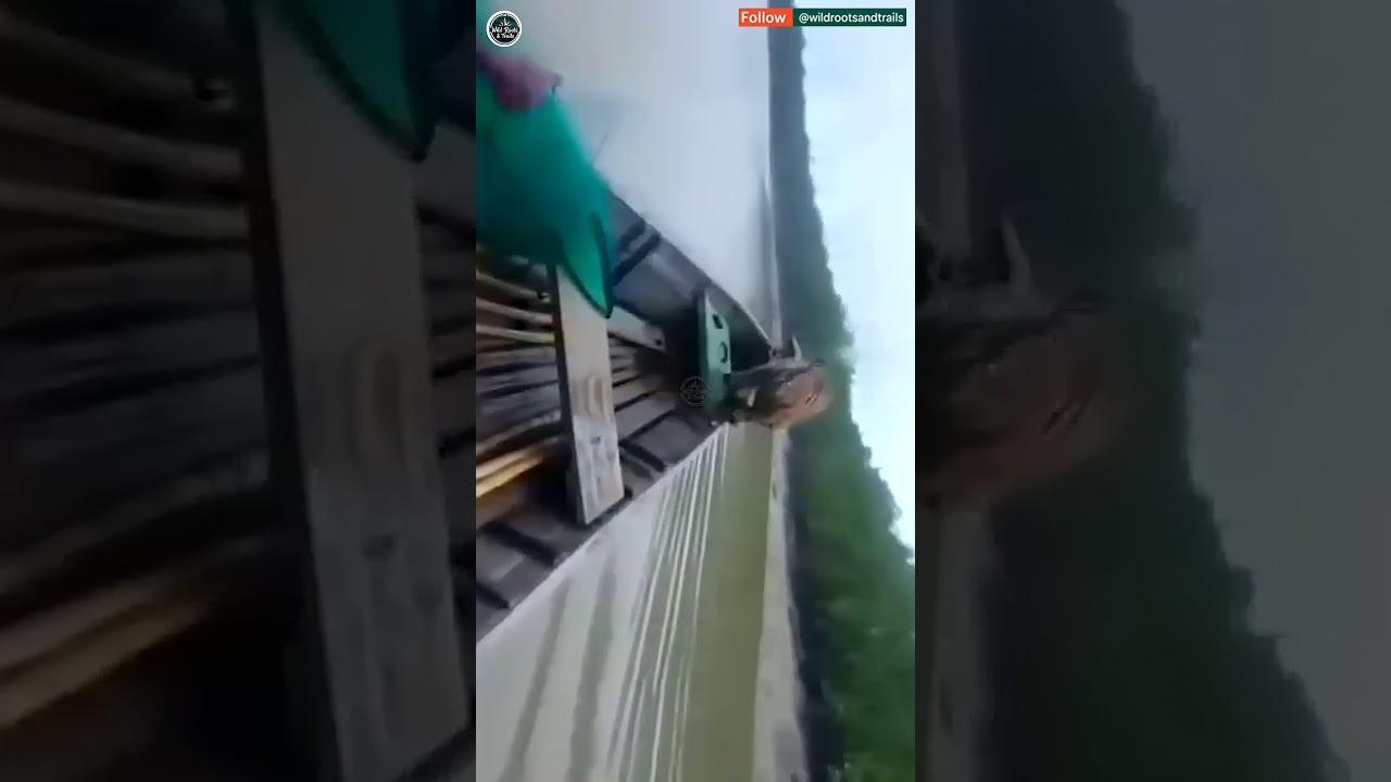 Intense! Sundarban Tiger Attack on Fisherman | Mangrove Forest | Man Eater. 