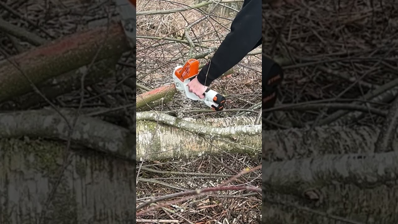 Let's See What the STIHL GTA 40 Can Do!