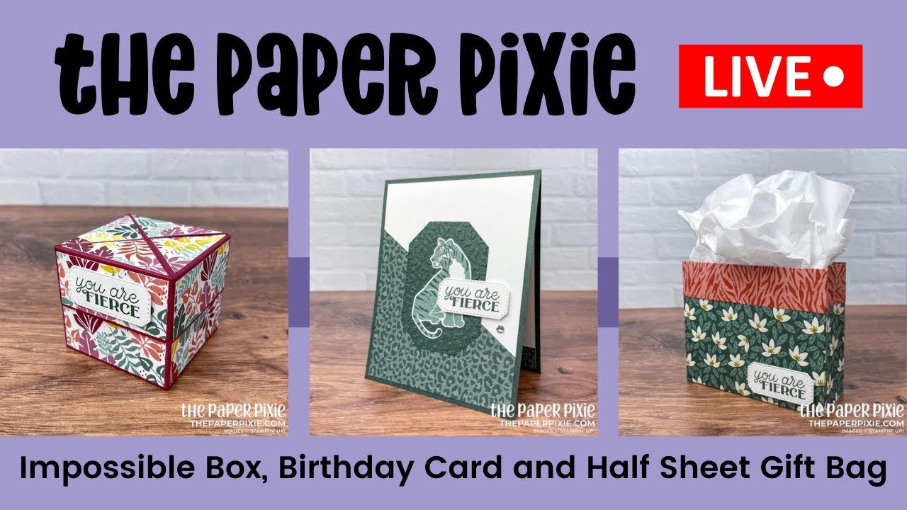 🔴 LIVE! with The Paper Pixie - Impossible Box, Birthday Card and Half Sheet Gift Bag - Episode 203
