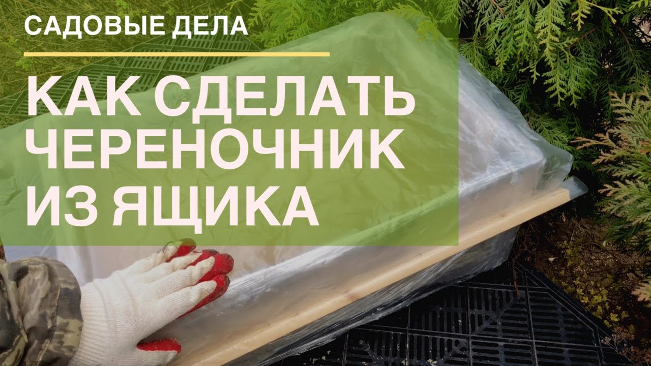 Как сделать череночник из ящика