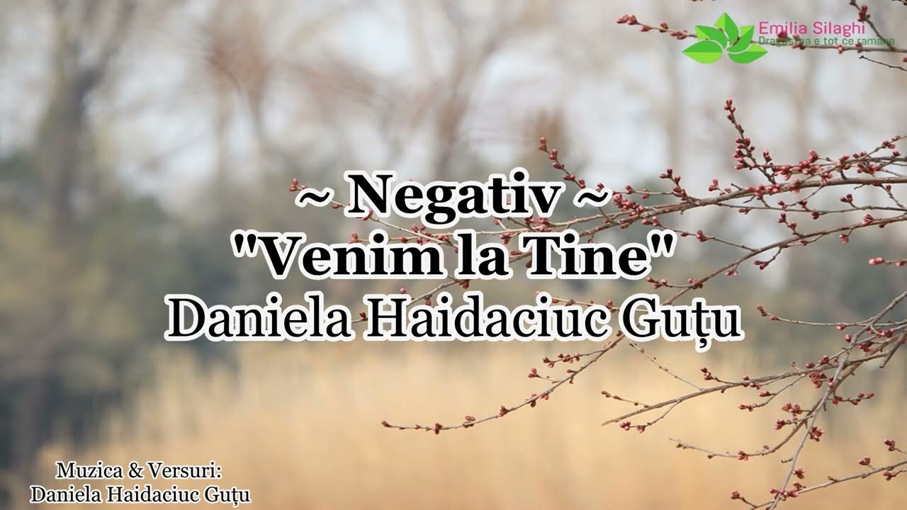Negativ - Venim la Tine - Daniela Haidaciuc Guțu