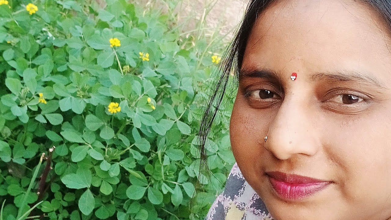 सभी यूट्यूब फैमिली का हमारे लाइफ में मोस्ट वेलकम है सभी को राधे राधे गुड आफ्टरनून