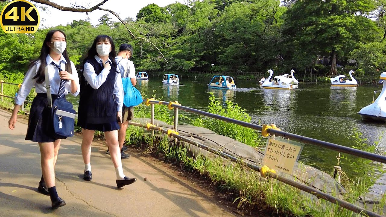 【4K】Tokyo Field Walk🚶‍♂️ - Mitaka, Inokashira Park,Ghibli Museum, Kichijoji - June 2022
