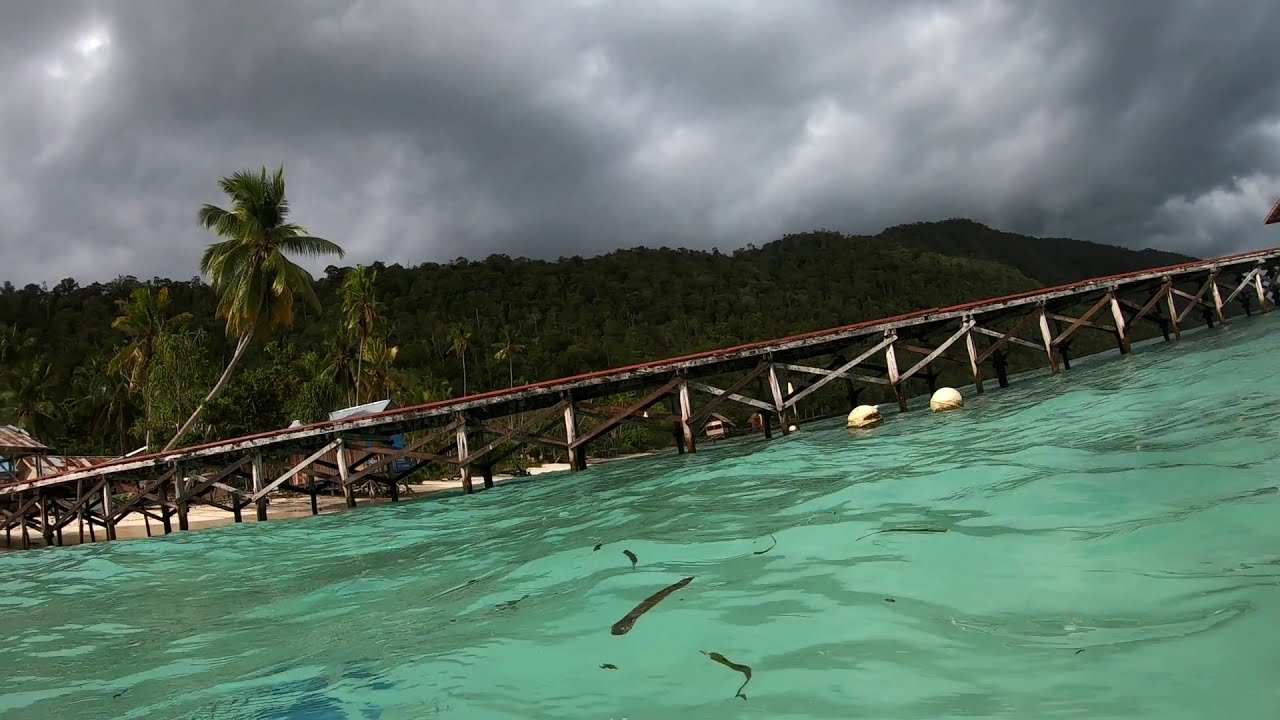 Mansuar (HD)  West Papua 2020   gigantic swarms of fish #rajaampat #underwater