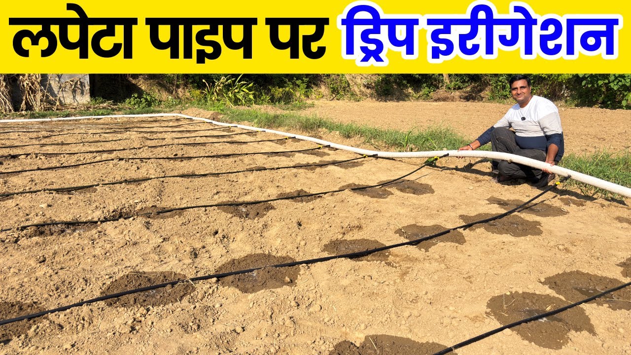 बिना PVC पाइप के ड्रिप इरीगेशन, हजारों बचेंगे इस पाइप से  #dripirrigation #dripirrigationsystem 
