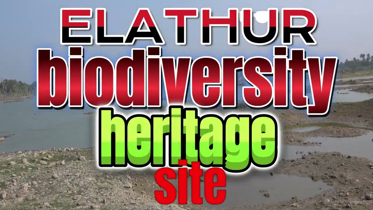 Elathur Biodiversity Heritage site | Tamil Nadu I Potential Ramsar Site