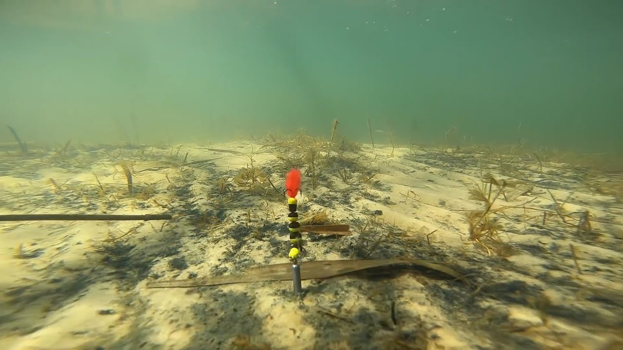 Fishon.cz Mandula Prof Montazh underwater