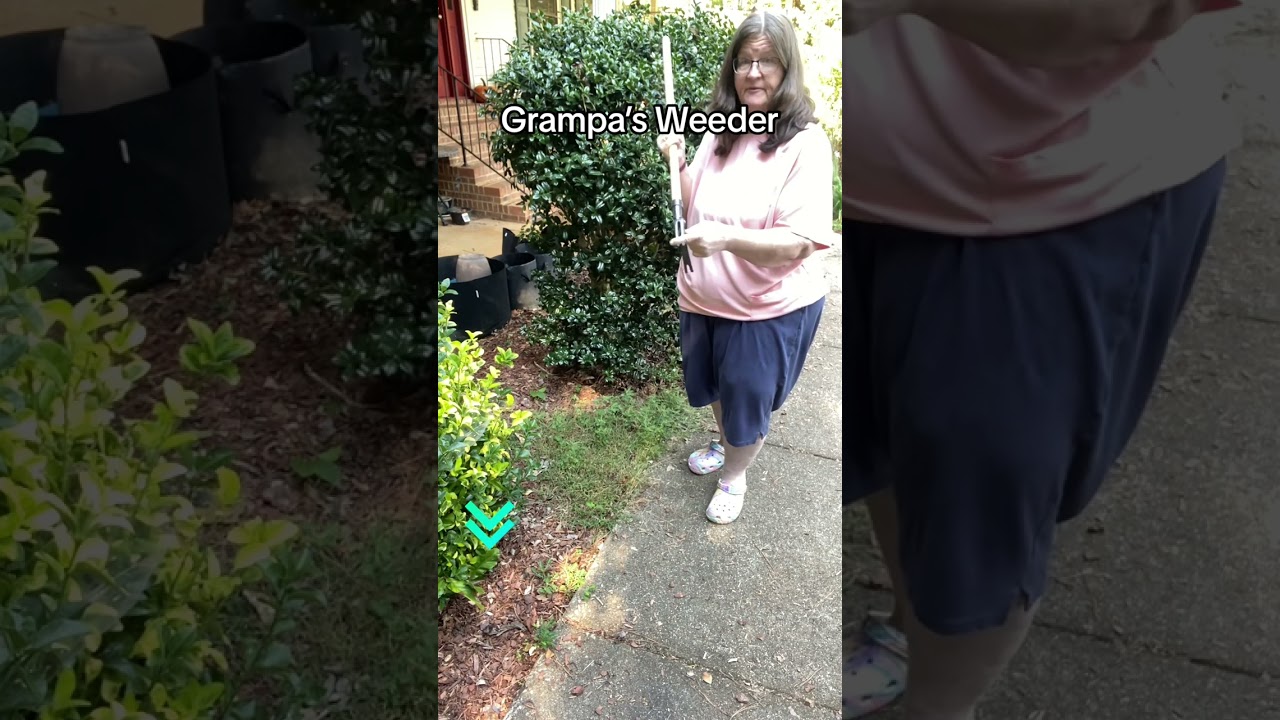Effortless Gardening with Grampa's Weeder! 🌱