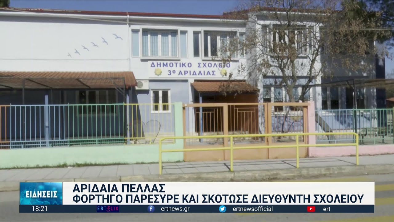 Τραγωδία στην Αριδαία: Θανατηφόρα παράσυρση διευθυντή σχολείου | 03/02/2023 | ΕΡΤ