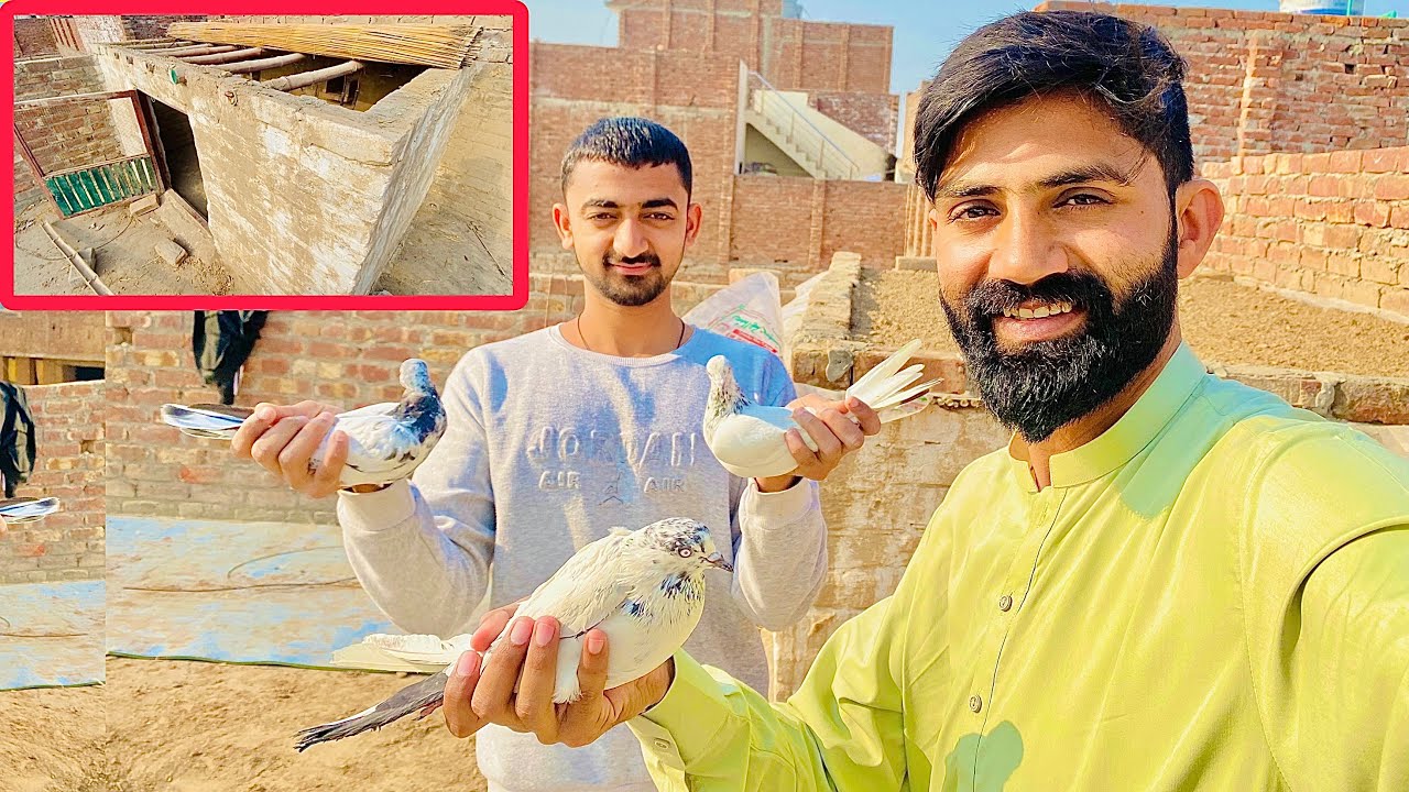Finally Pigeon Cage  Ready✌️|| Pigeons Bhi A Gae 😍 Birds Cage Setup