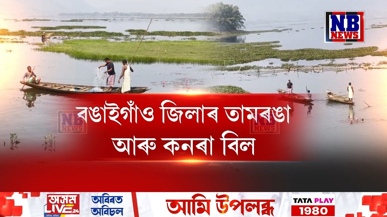 বঙাইগাঁও জিলাৰ তামৰঙা আৰু কনৰা বিল দুখনত চলিছে বেদখল। কেনেকৈ বেদখল হৈছে বিলৰ মাটি?