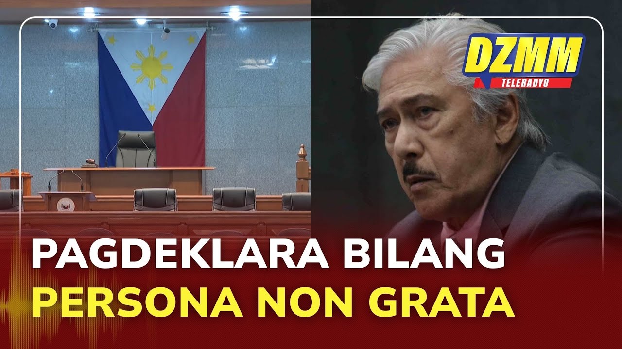 Senate to review declaring Chinese Emb. deputy spox persona non grata | (27 January 2026)