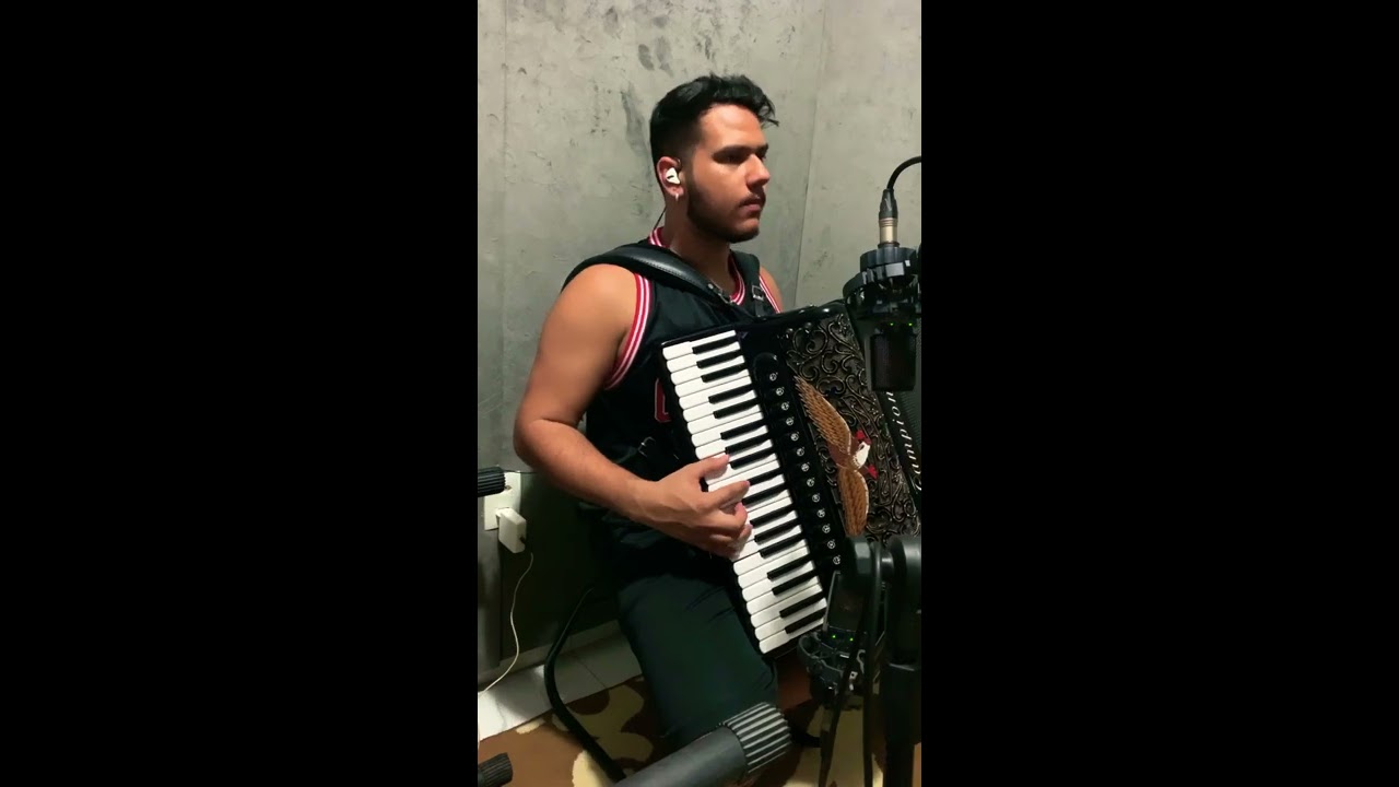 Jazz accordion {Frank Marocco}