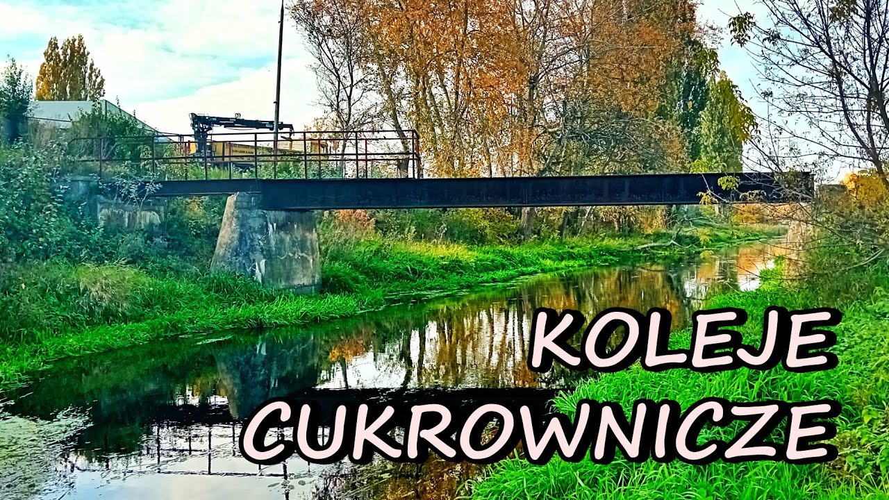 KOLEJE CUKROWNICZE - Guzów - Józefów - Michałów