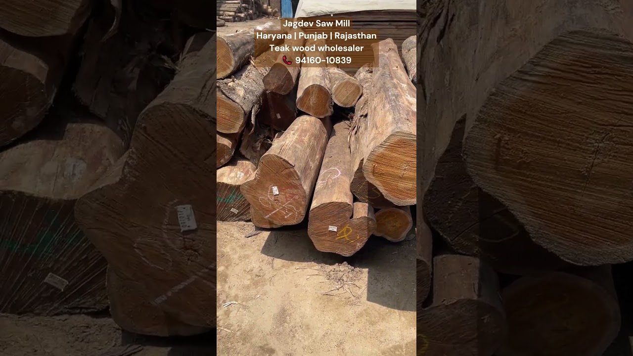 Premium quality teak wood wholesaler in Haryana and Punjab, Jagdev Saw Mill teak wood wholesaler
