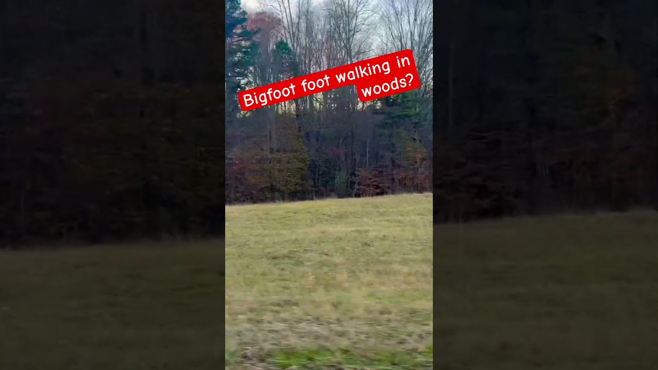 Man Sees a Bigfoot Walking Through Woods Chasing His Car on Camera!