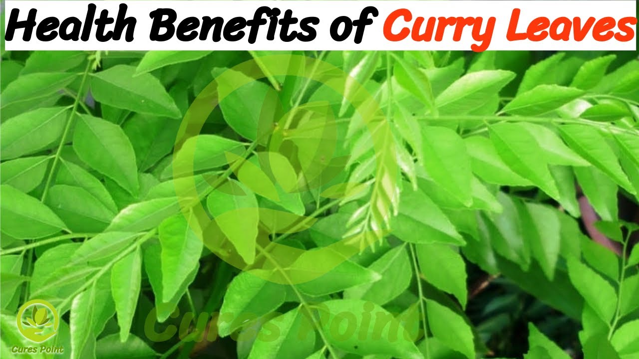 Health Benefits of Curry Leaves | Benefits of Curry Leaves for Diabetes