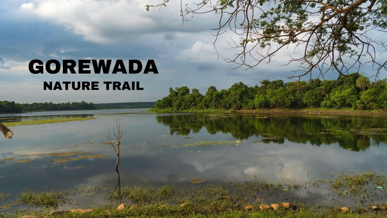 Gorewada Biodiversity Park |Gorewada Nature Trail |Gorewada Lake |Nagpur