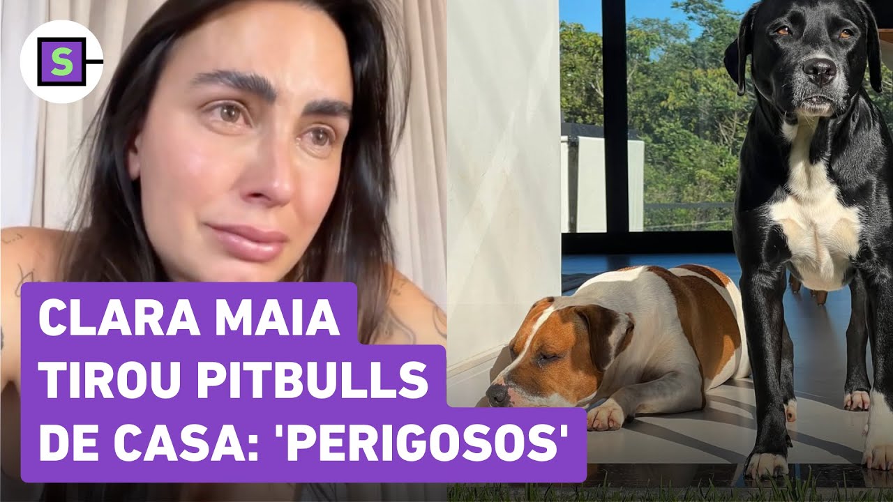 Grávida de gêmeos, Clara Maia tirou pitbulls de casa: 'Perigosos'