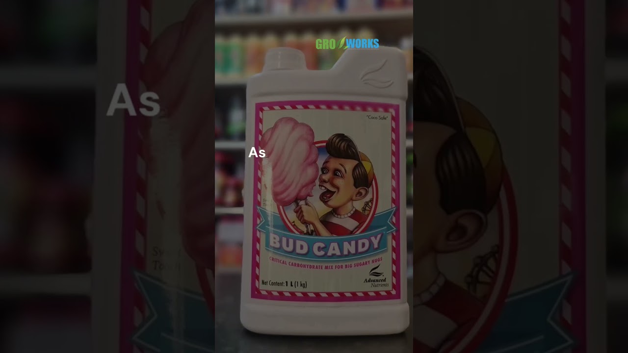 Want sweeter more aromatic flowers? try Advanced Nutrients Bud Candy #hydroponics #horticulture