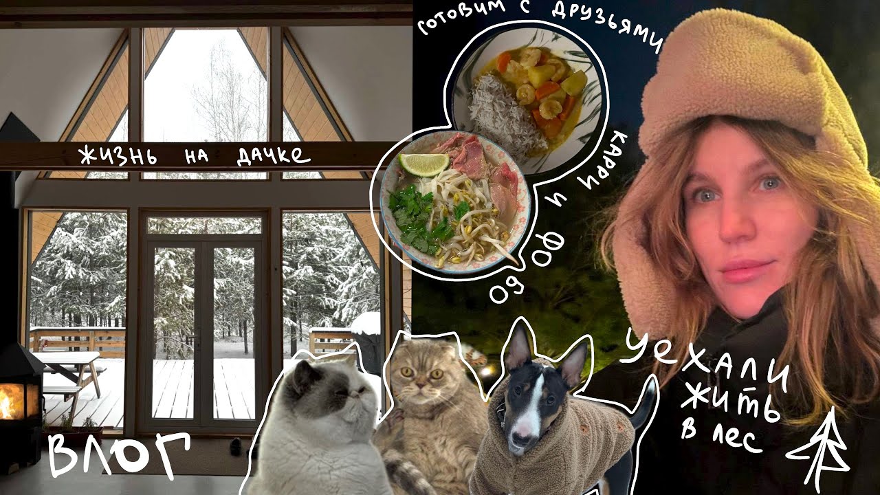 28. Тихий влог, встречи с друзьями, уехали жить на дачку в лес, дом A-frame