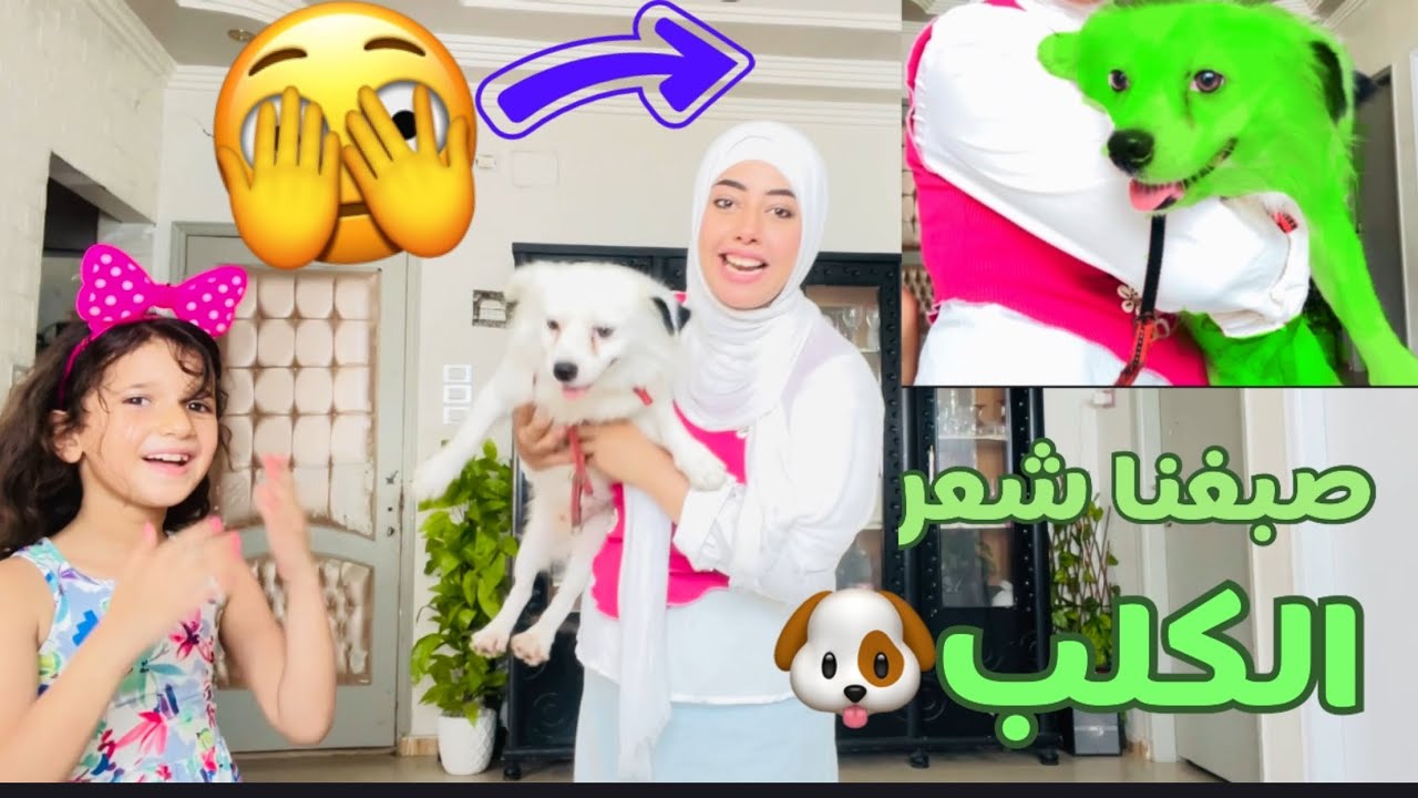 صبغنا شعر الكلب🐶ومش هتصدقو رد فعله😂وللاسف انا مش هينفع احتفظ بيه فى البيت❌