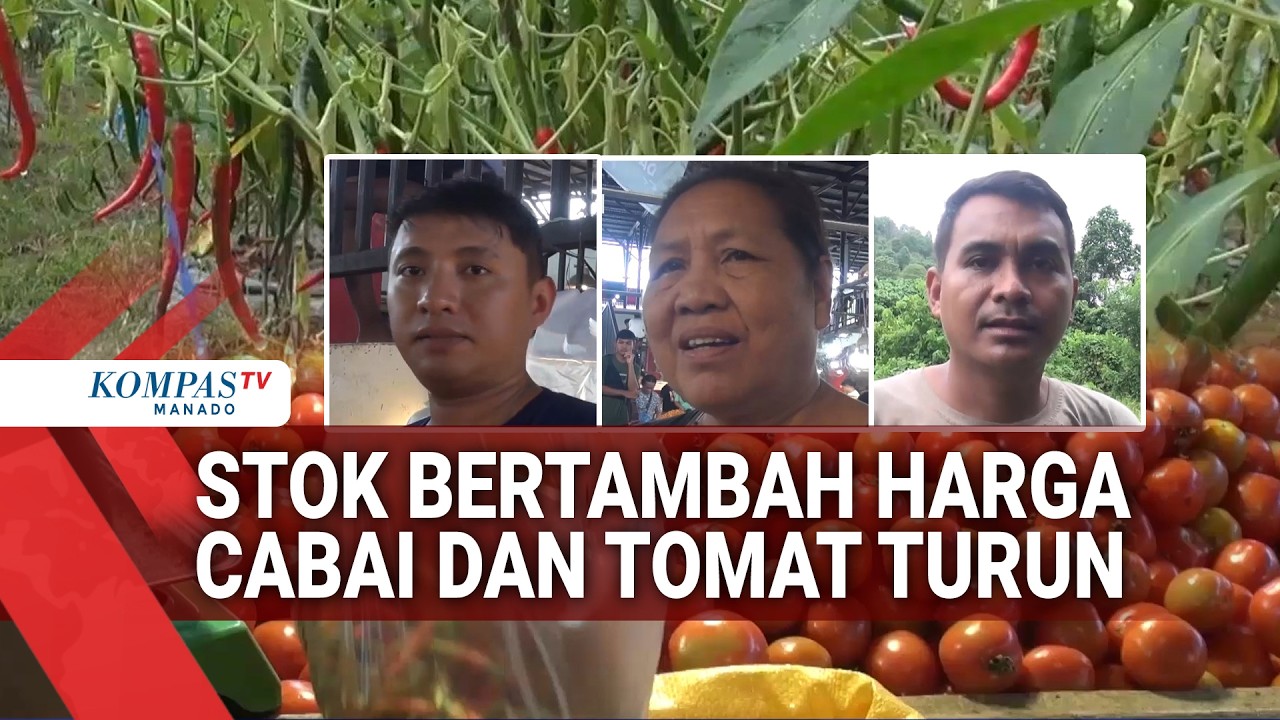 STOK BERTAMBAH HARGA CABAI DAN TOMAT TURUN