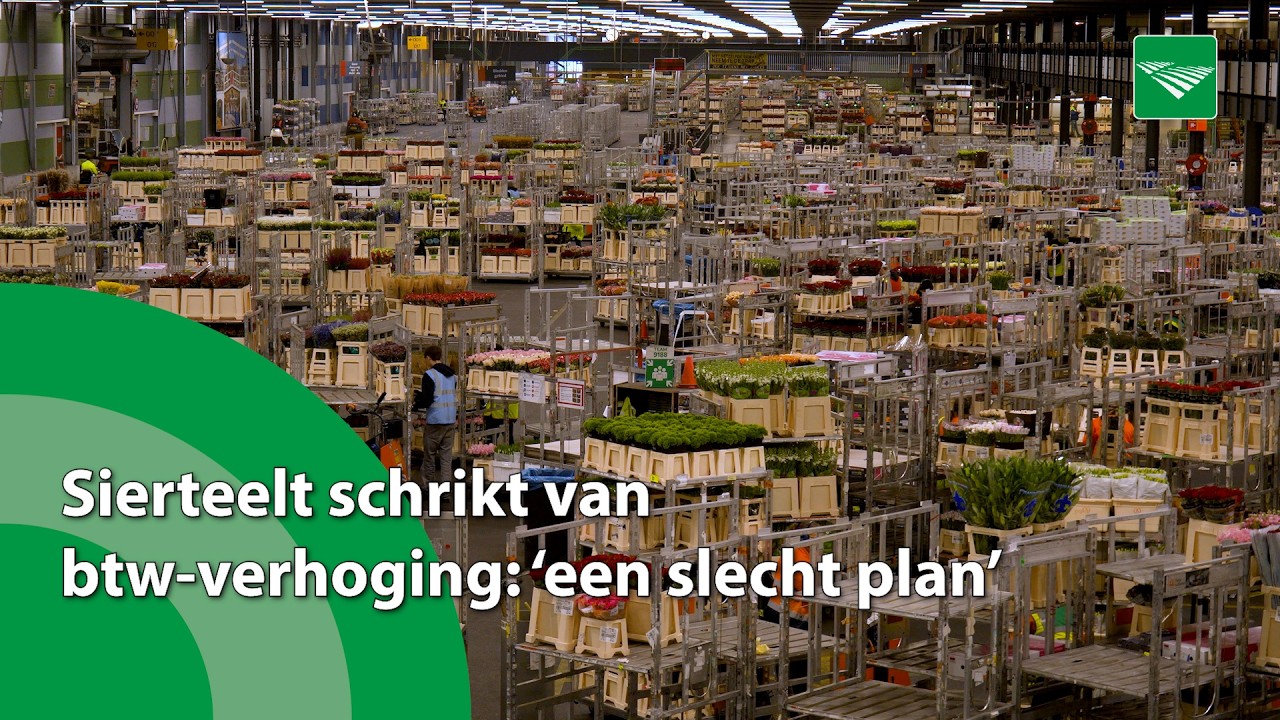 Sierteelt schrikt van btw-verhoging: ‘een slecht plan’